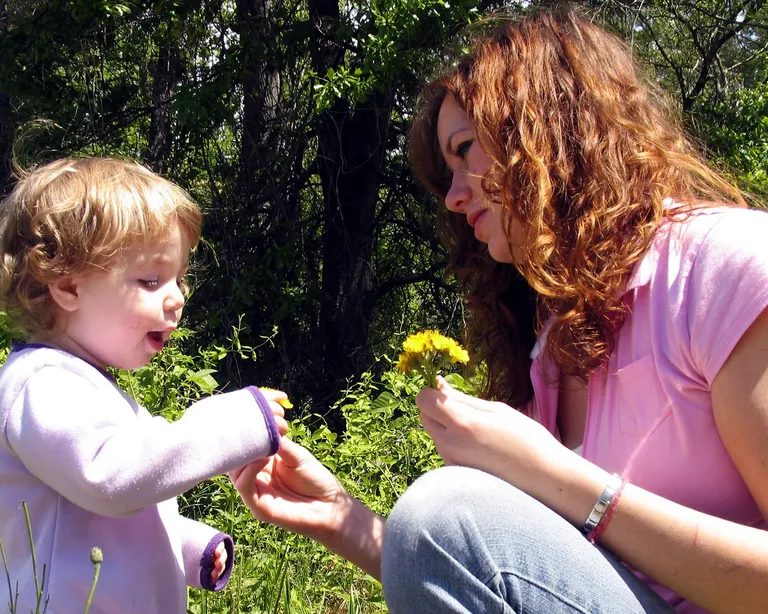 Babysitter gesucht