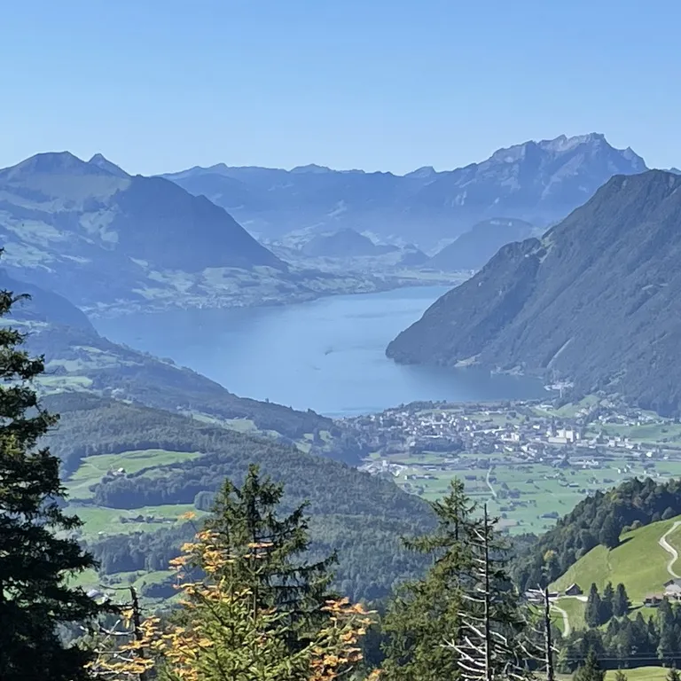 Blick auf einen See zwischen Bergen, grüne Wälder und Wiesen im Vordergrund, blauer Himmel im Hintergrund.