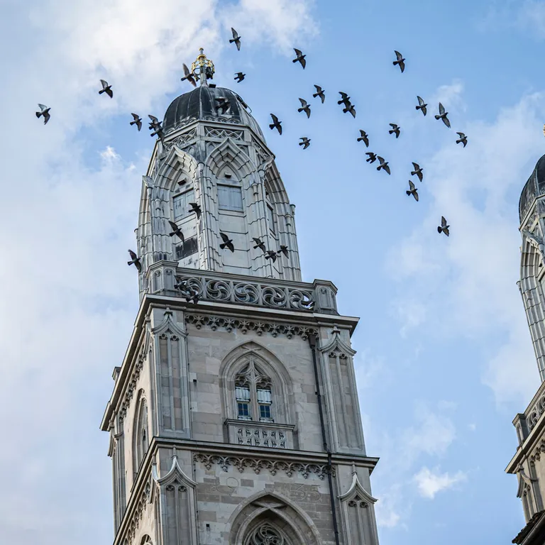 37_Altstadtkirchen_Grossmuenster_Unsplash_Mattias_Tanner