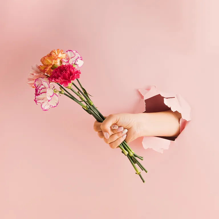 Eine Hand reicht einen bunten Blumenstrauß durch ein Loch in einem rosa Hintergrund.