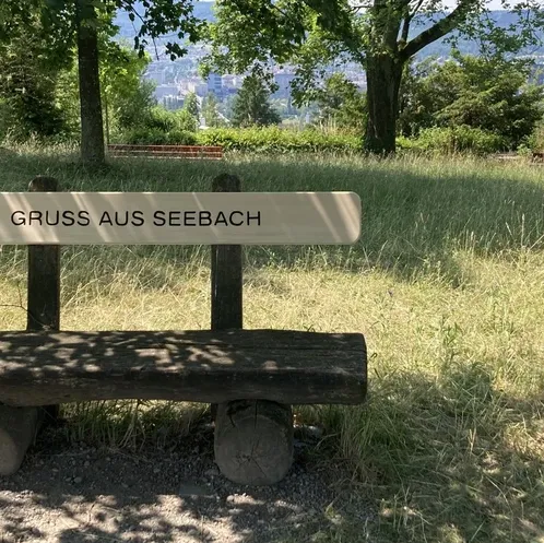 Holzbank mit der Aufschrift «Gruss aus Seebach» steht auf einer Wiese, im Hintergrund Bäume und unscharfe Stadtansicht von Höngg aus.