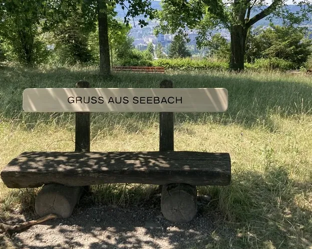 Holzbank mit der Aufschrift «Gruss aus Seebach» steht auf einer Wiese, im Hintergrund Bäume und unscharfe Stadtansicht von Höngg aus.