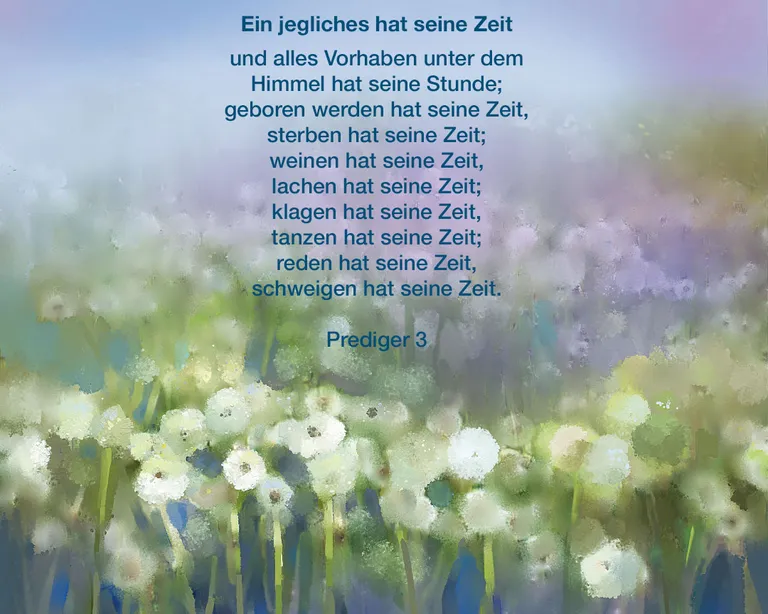 Blütenfeld mit Text