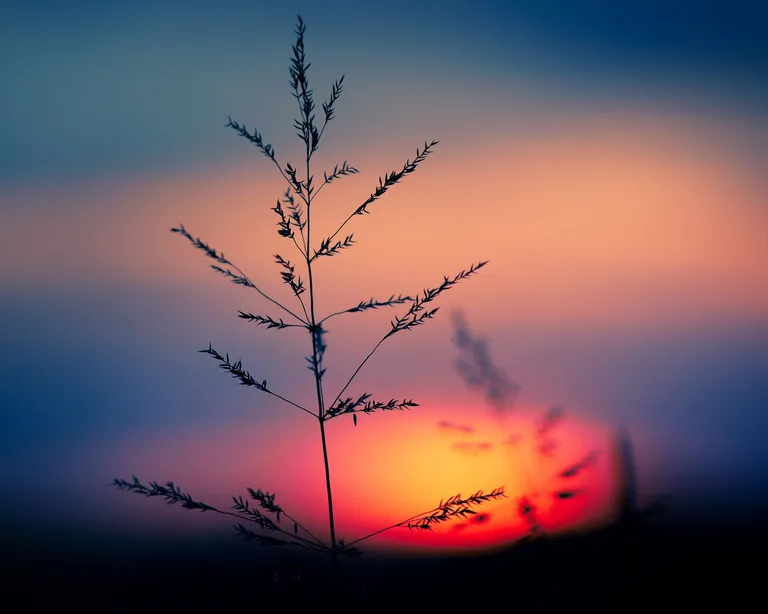 Sonnenaufgang