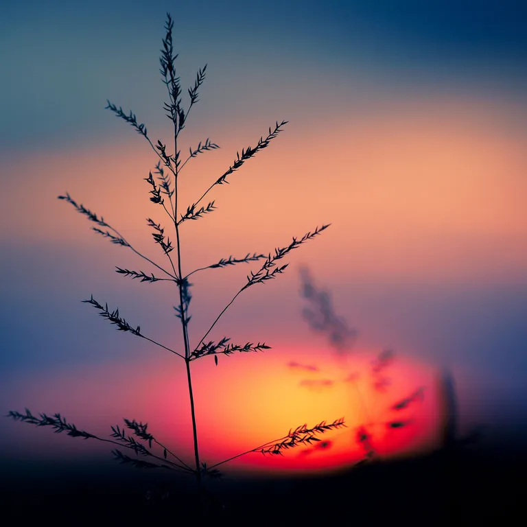 Sonnenaufgang