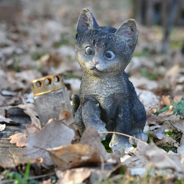 Katze_Unsplash_Csaba_Gyulavari_web
