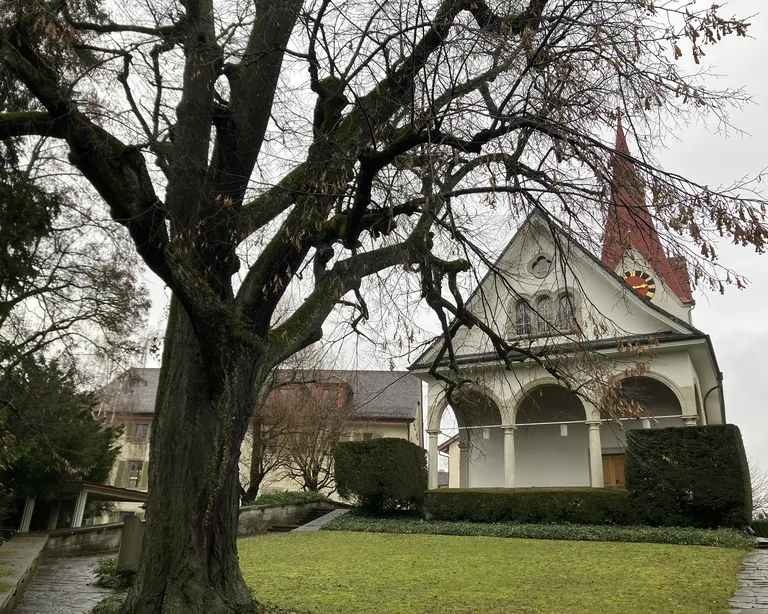 Die Linde in Höngg vor der Kirche. Sie steht symbolisch für den Austausch.