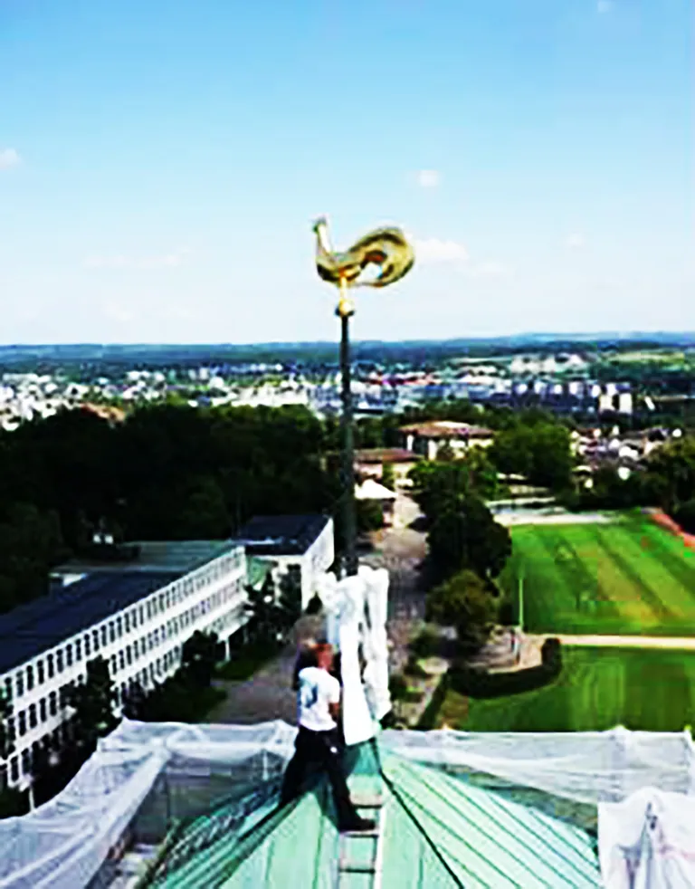 Turmhahn_Foto