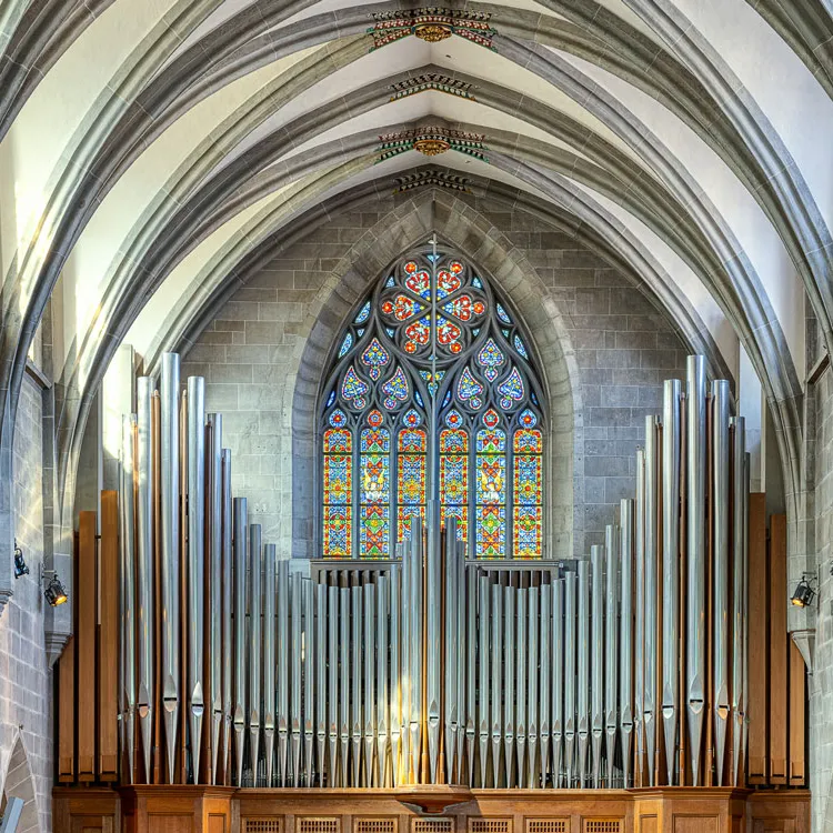Alt-Text: Große Orgel in einer gotischen Kirche mit farbigem Rosettenfenster im Hintergrund.
