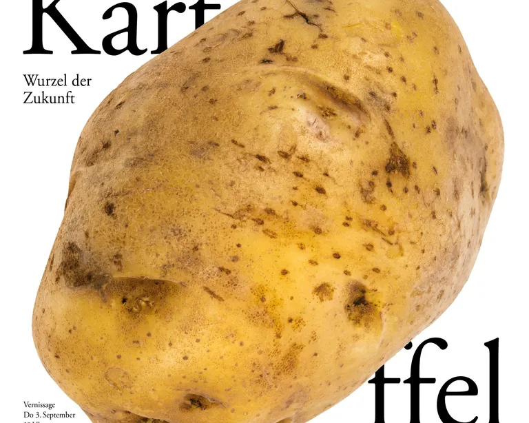 Eine einzelne braune Kartoffel liegt mittig auf weißem Hintergrund mit schwarzem Text im Hintergrund.