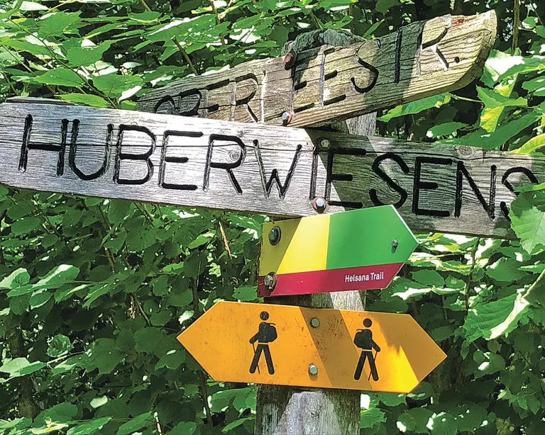 Mehrere Wanderschilder im Wald, umgeben von grünen Blättern. Das Angebot Walk & Talk geht genau darum. Laufen, egal in welche Richtung, und Reden.