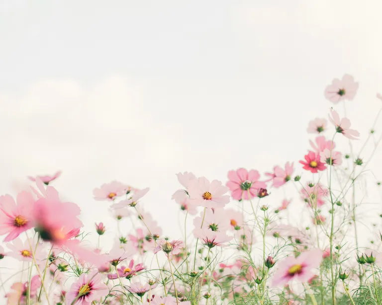 tomoko-uji-kxvn1ogpTtE-unsplash